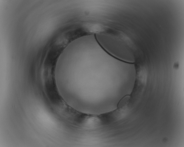 X0000114170572200910221654