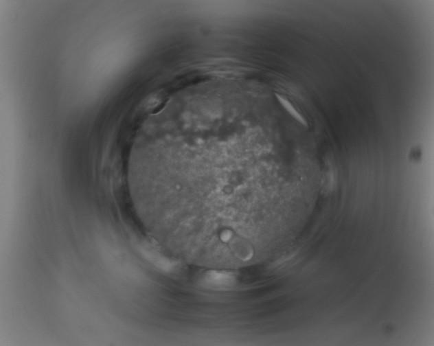 X0000114170573200910221654