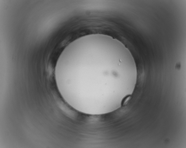 X0000114170574200910221654