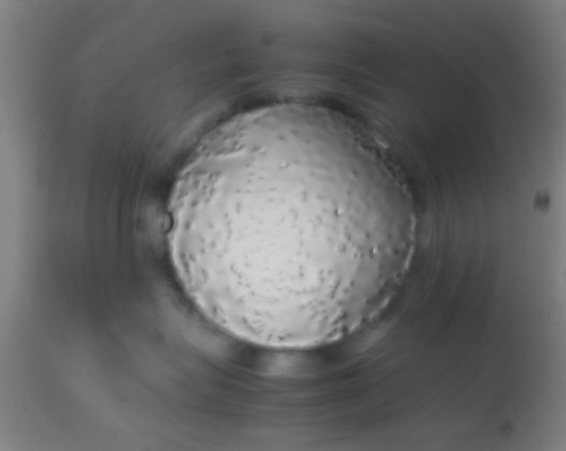 X0000114170575200910221654