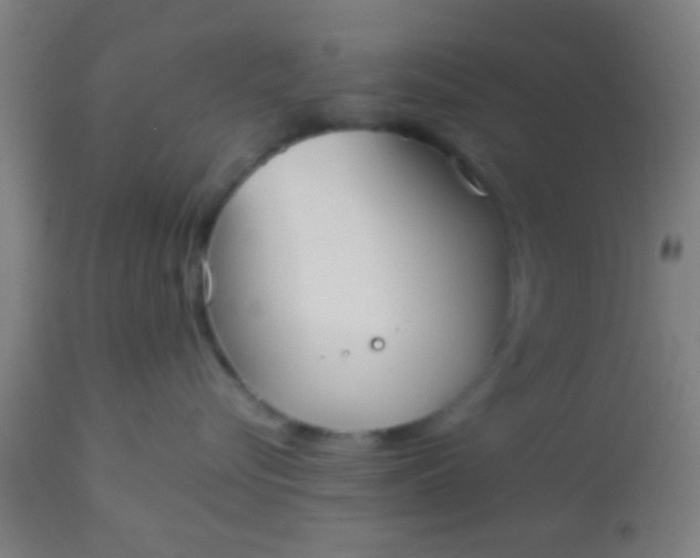 X0000114170576200910221654