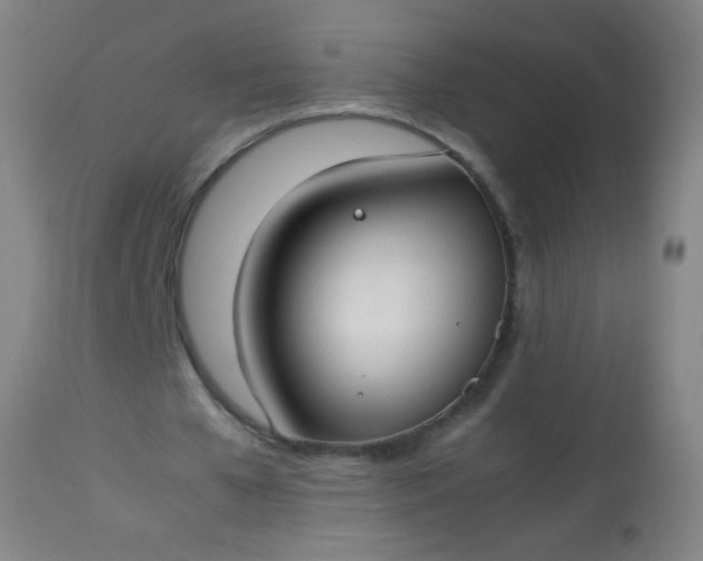 X0000114170577200910221653