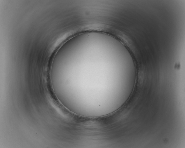 X0000114170578200910221653