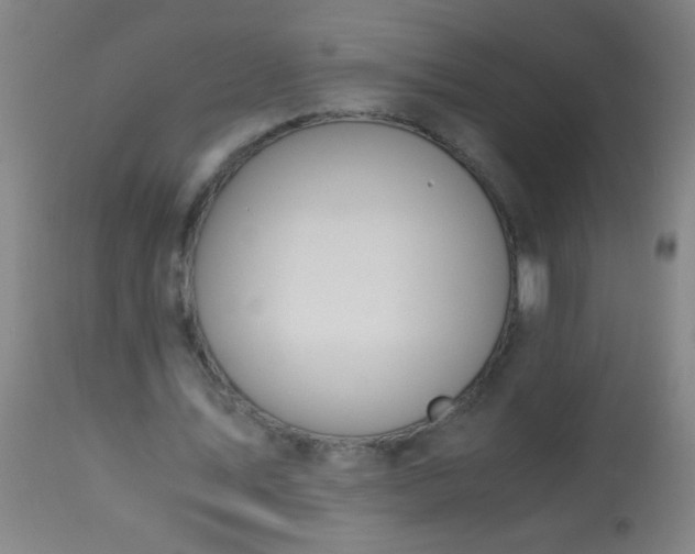 X0000114170579200910221653