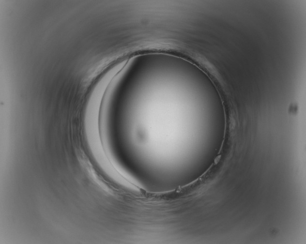 X0000114170581200910221653