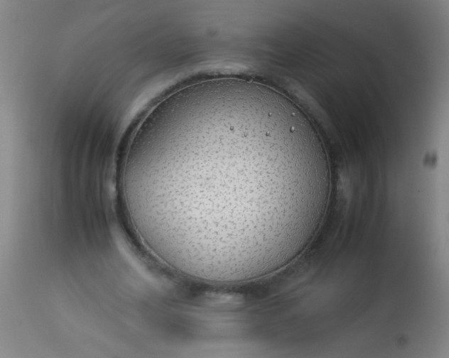 X0000114170582200910221653