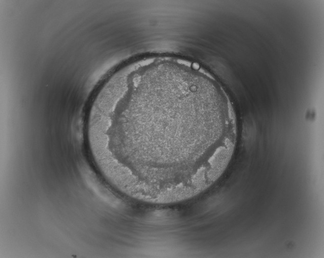 X0000114170584200910221653