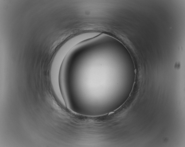 X0000114170585200910221653