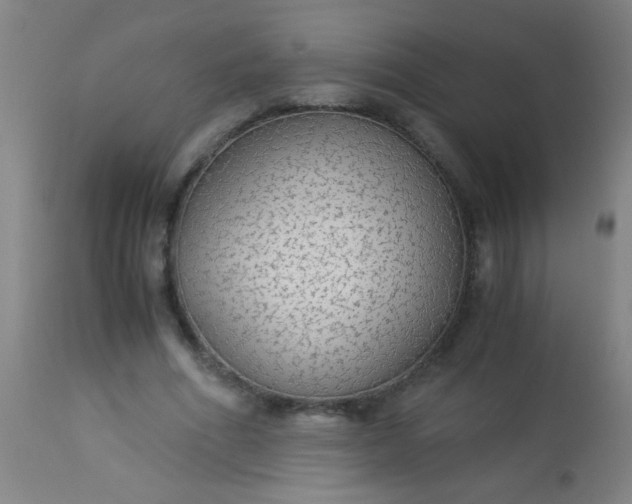 X0000114170586200910221653