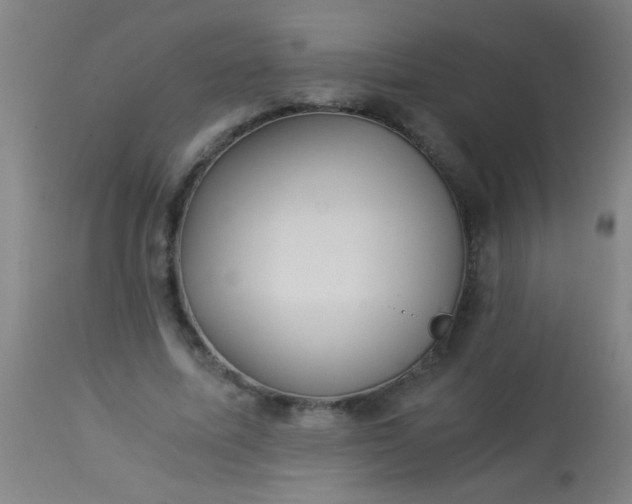 X0000114170587200910221653