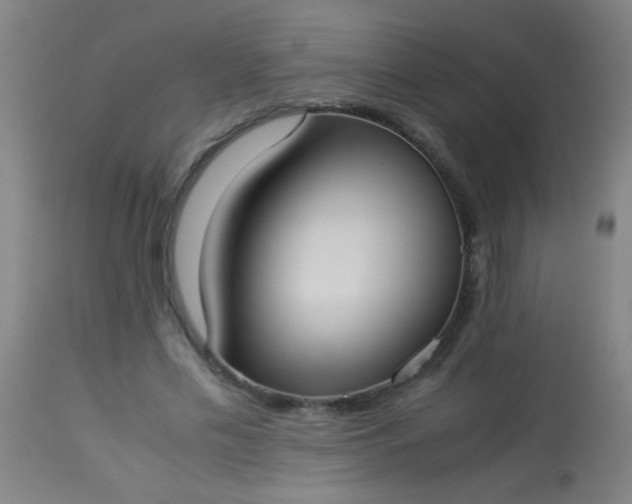 X0000114170589200910221653