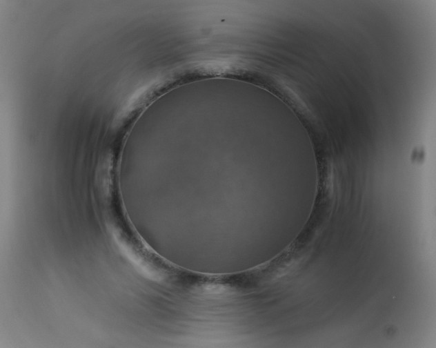 X0000114170590200910221653