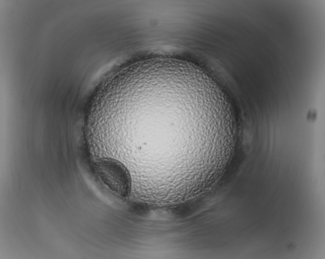 X0000114170591200910221653