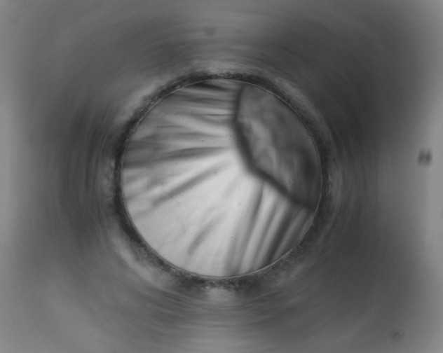 X0000114170592200910221653