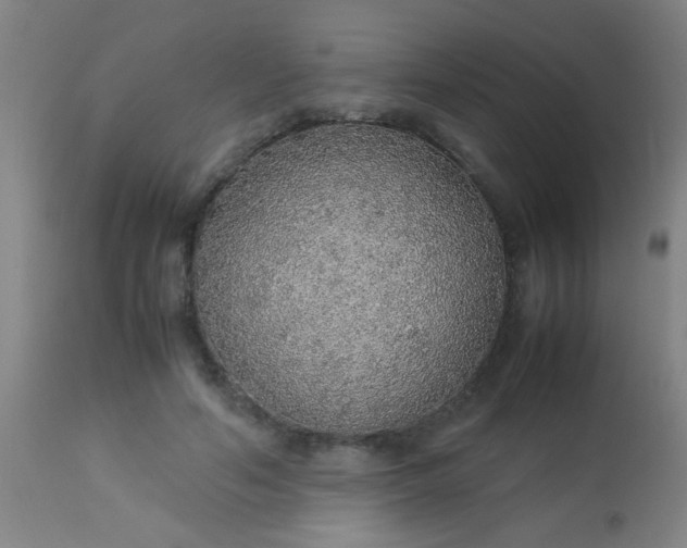 X0000114170594200910221652