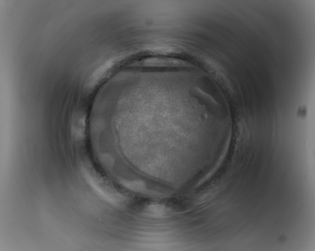 X0000114170596200910221652