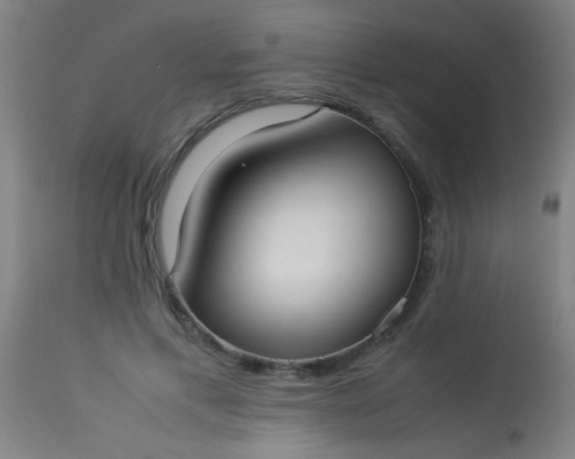 X0000114170597200910221652