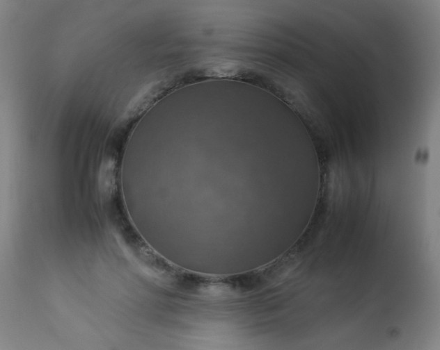 X0000114170598200910221652