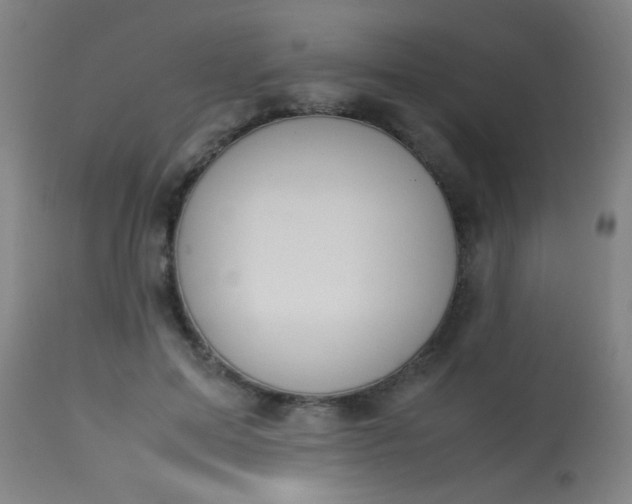 X0000114170599200910221652