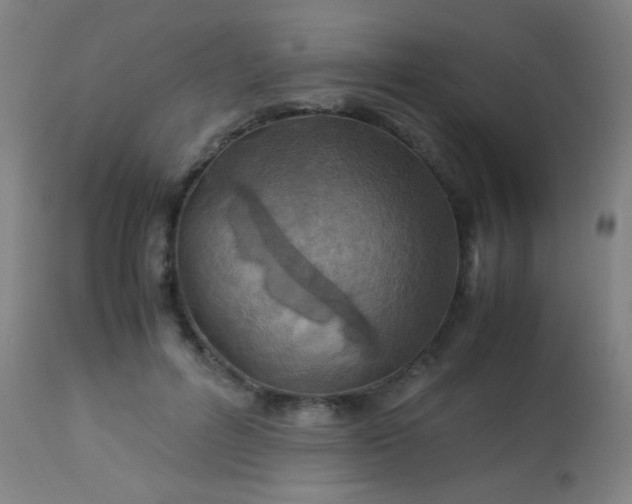 X0000114170600200910221652