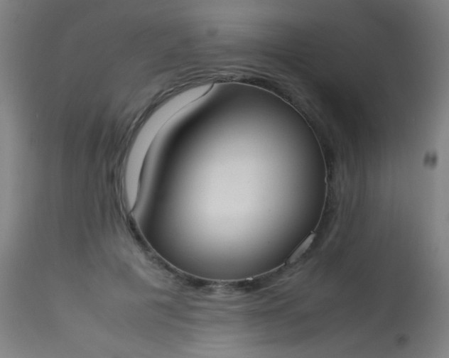 X0000114170601200910221652