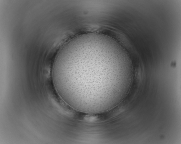 X0000114170602200910221652