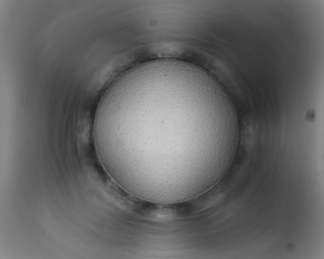 X0000114170604200910221652