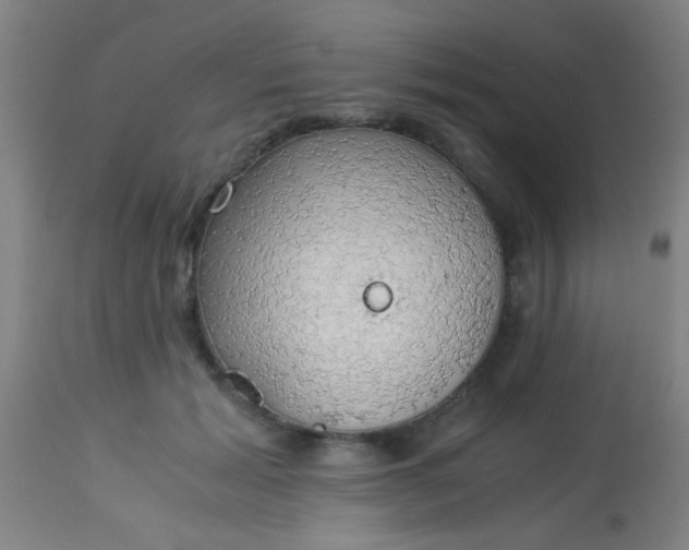 X0000114170605200910221652