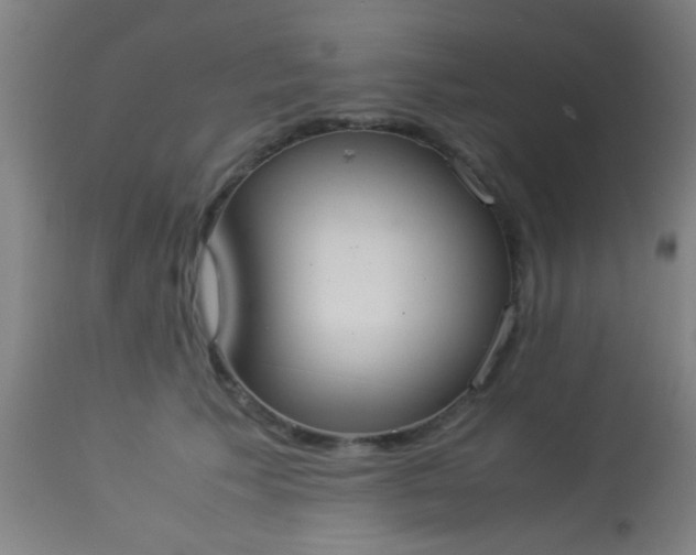 X0000114170609200910221652