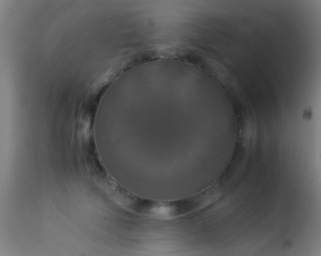 X0000114170610200910221652