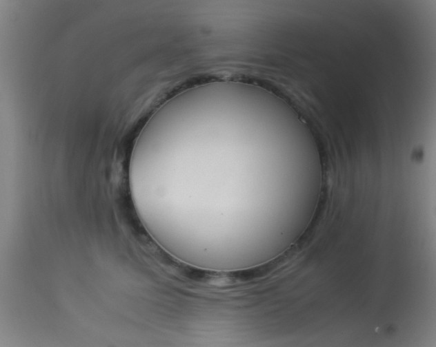 X0000114170611200910221652