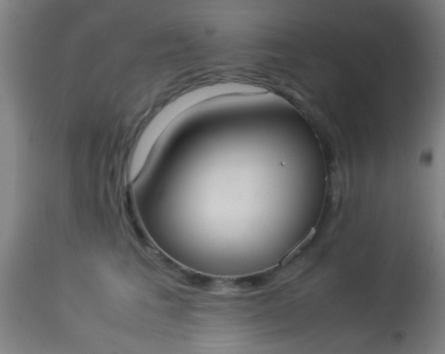 X0000114170613200910221652