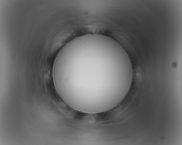 X0000114170615200910221652