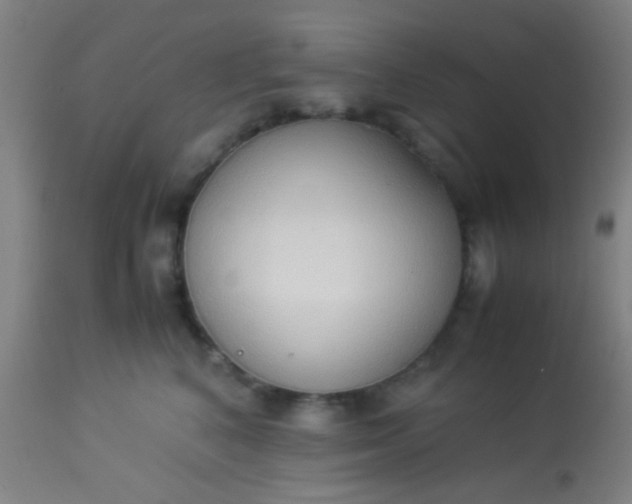 X0000114170616200910221652