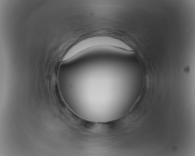 X0000114170617200910221652