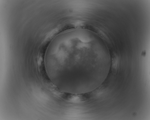 X0000114170618200910221652