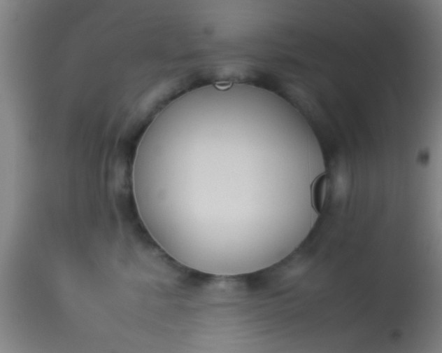 X0000114170619200910221652