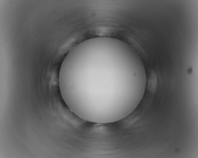 X0000114170620200910221652