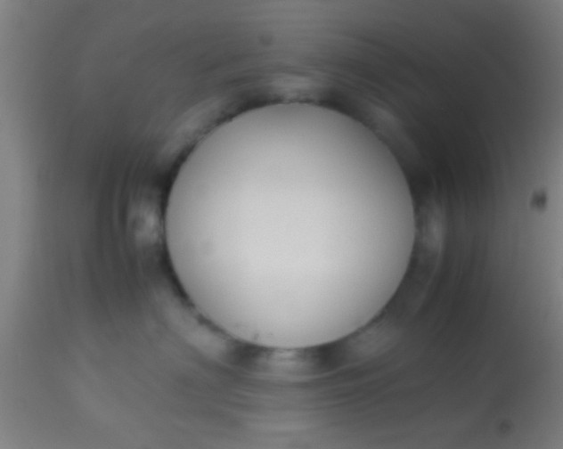 X0000114170622200910221652