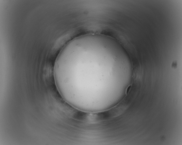 X0000114170623200910221652