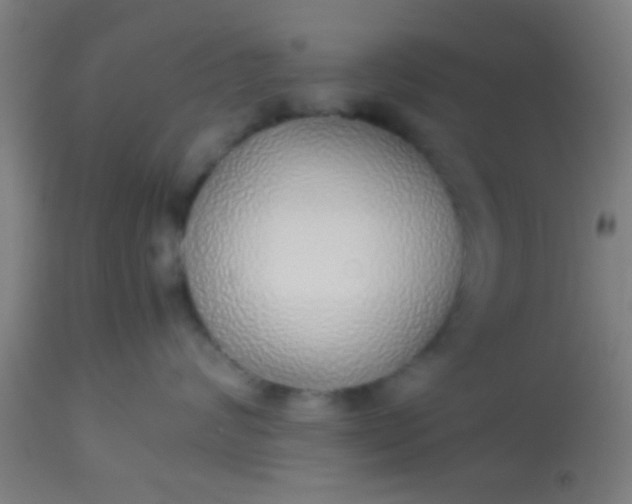 X0000114170624200910221652