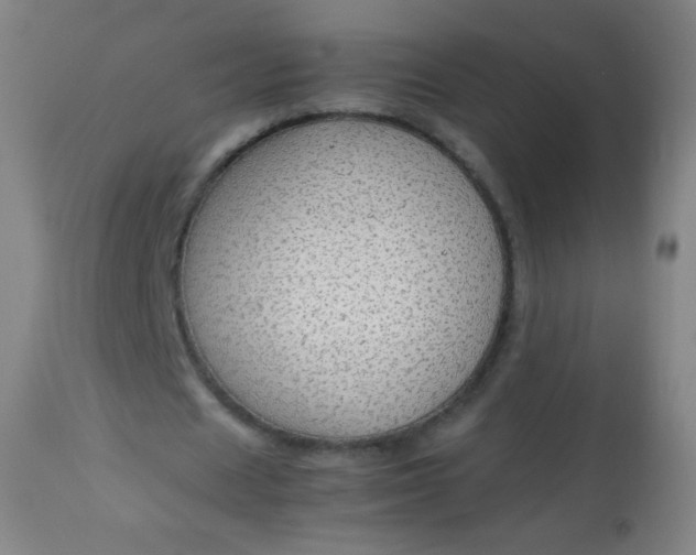 X0000114170625200910221651