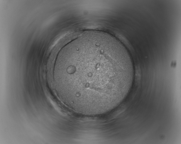 X0000114170626200910221651