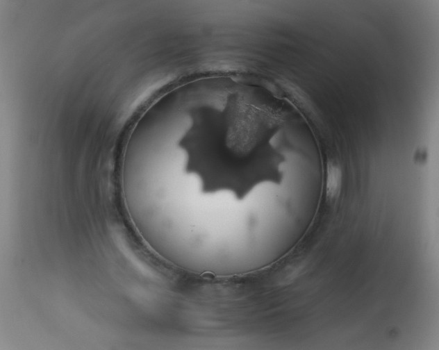 X0000114170627200910221651