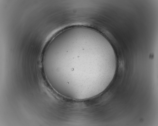 X0000114170628200910221651