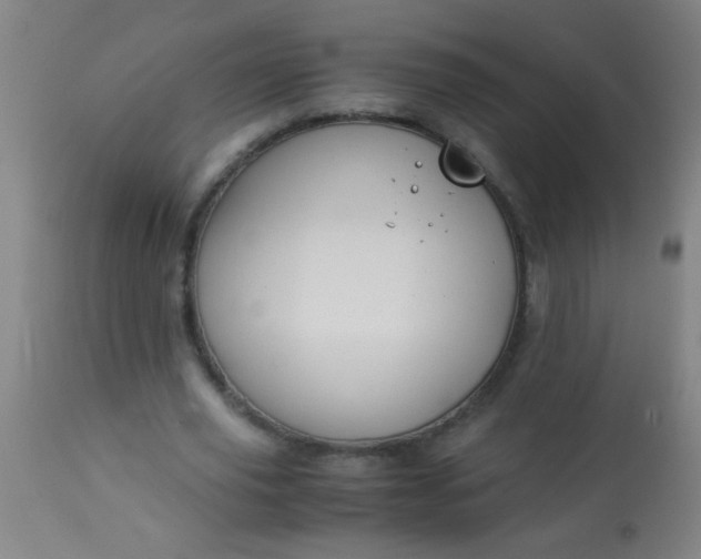 X0000114170629200910221651