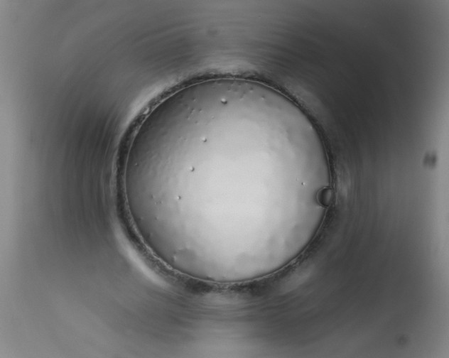 X0000114170630200910221651