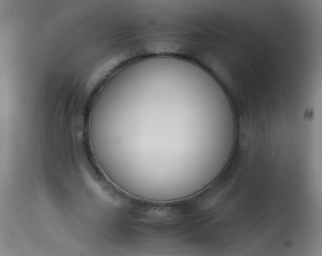 X0000114170631200910221652