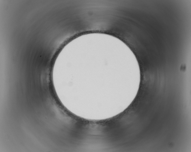 X0000114170632200910221652