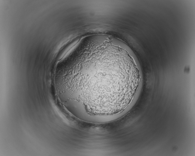 X0000114170634200910221652